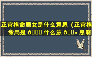 正官格命局女是什么意思（正官格命局是 🕊 什么意 🌻 思啊）